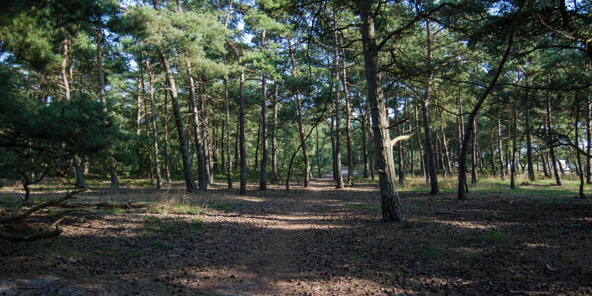 Kämpinge Strandbads Naturreservat 2011