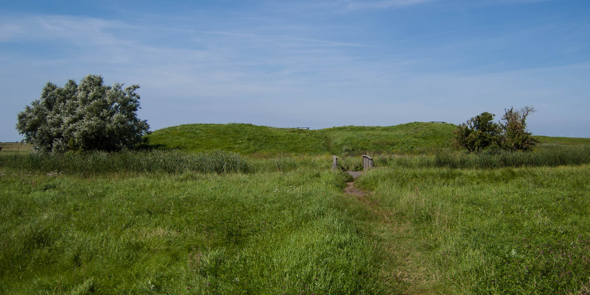 Skanörs Borgruin 2011